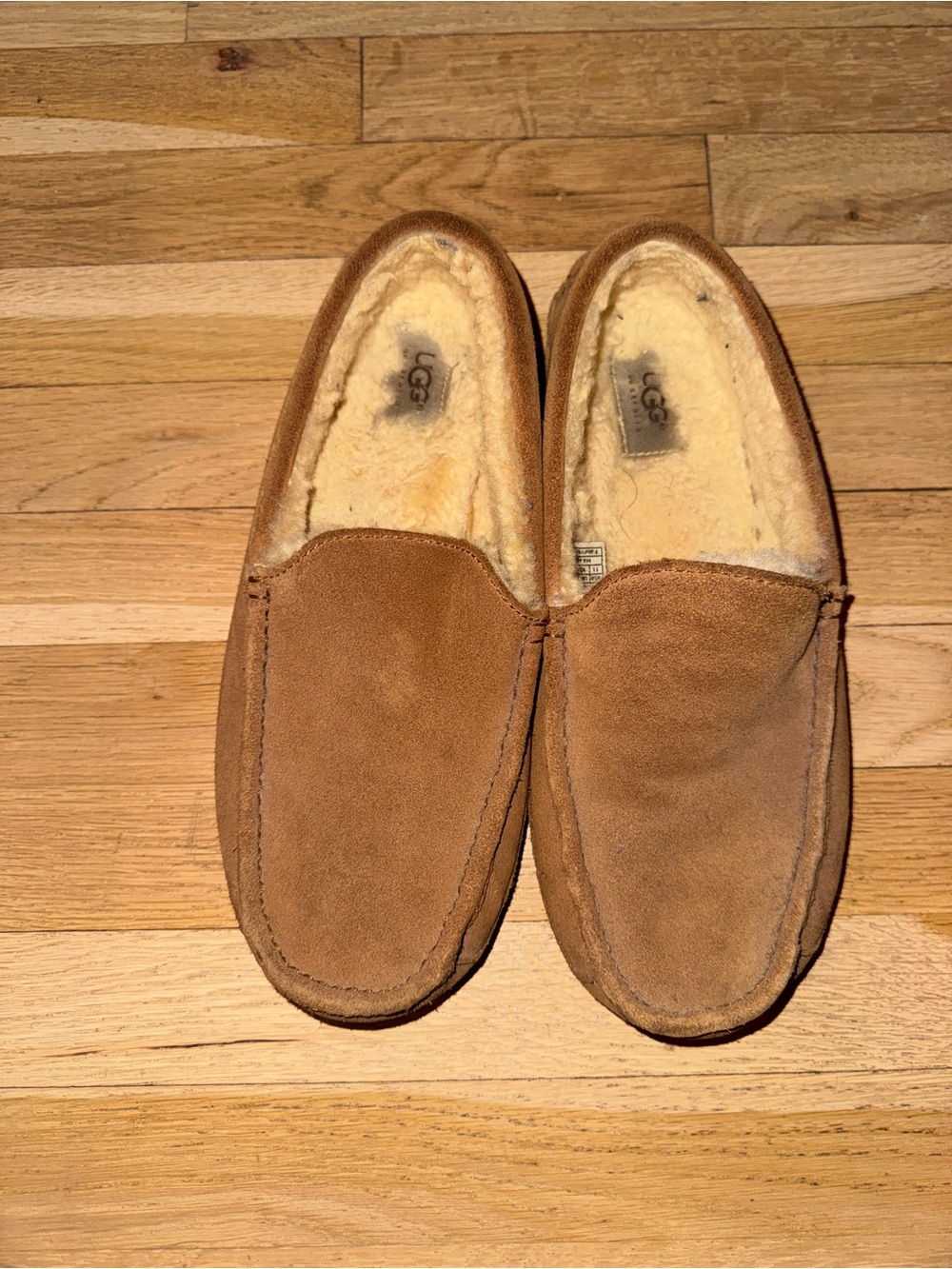 UGG Men's Chestnut Brown Suede Slip-On Moccasins